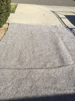 New Carpet