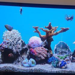 Panasonic 65 Inch plasma TV 