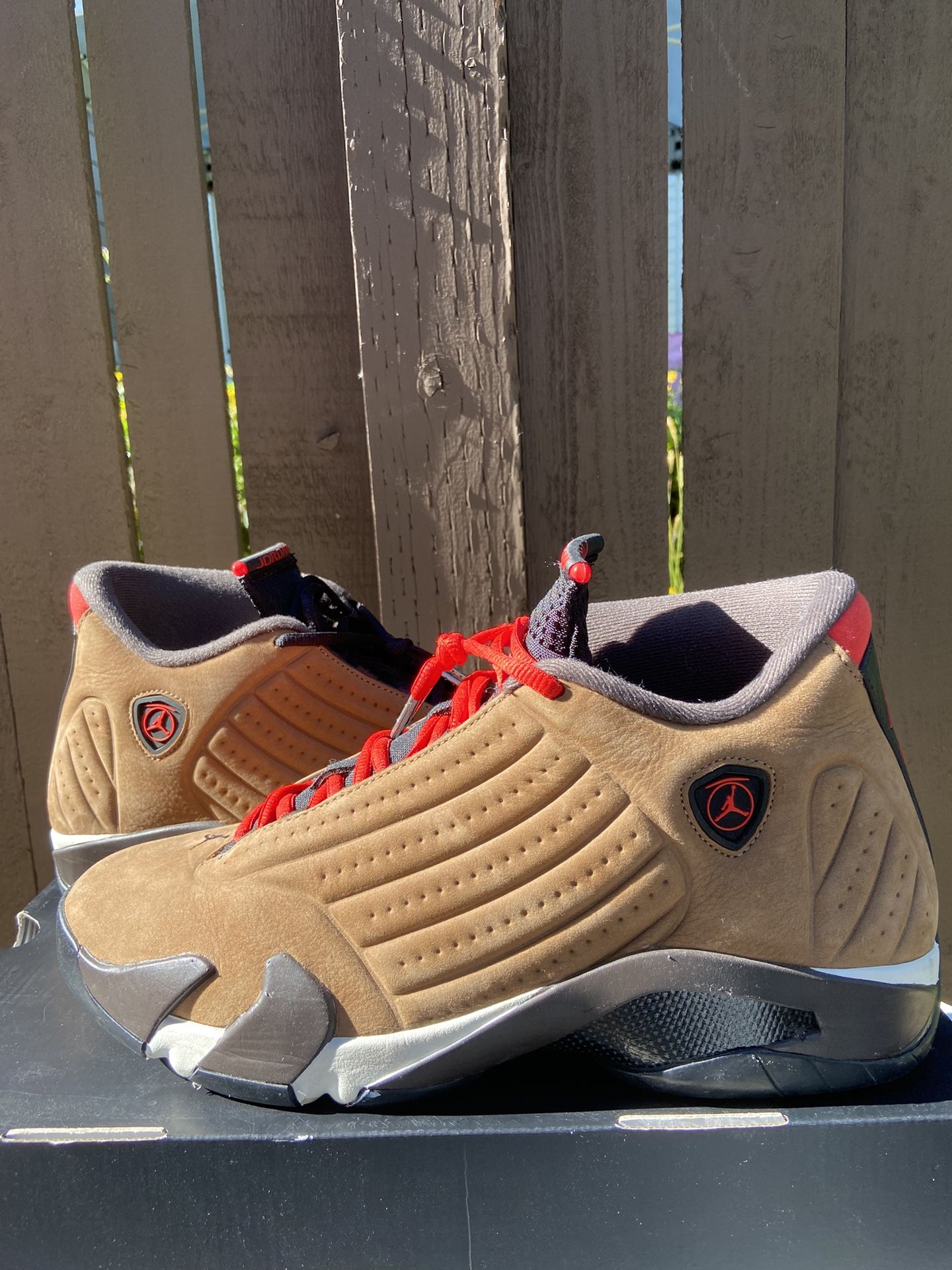 Jordan 14s 