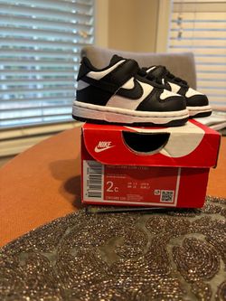 Nike Dunk Low Toddler Sneakers Size 2C