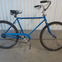 Schwinn Bicycle 