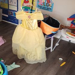 Disney princess dresses
