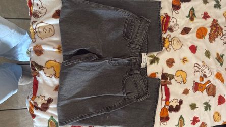 Hollister pants
