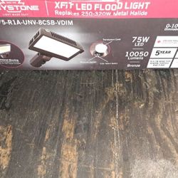 Flood Light