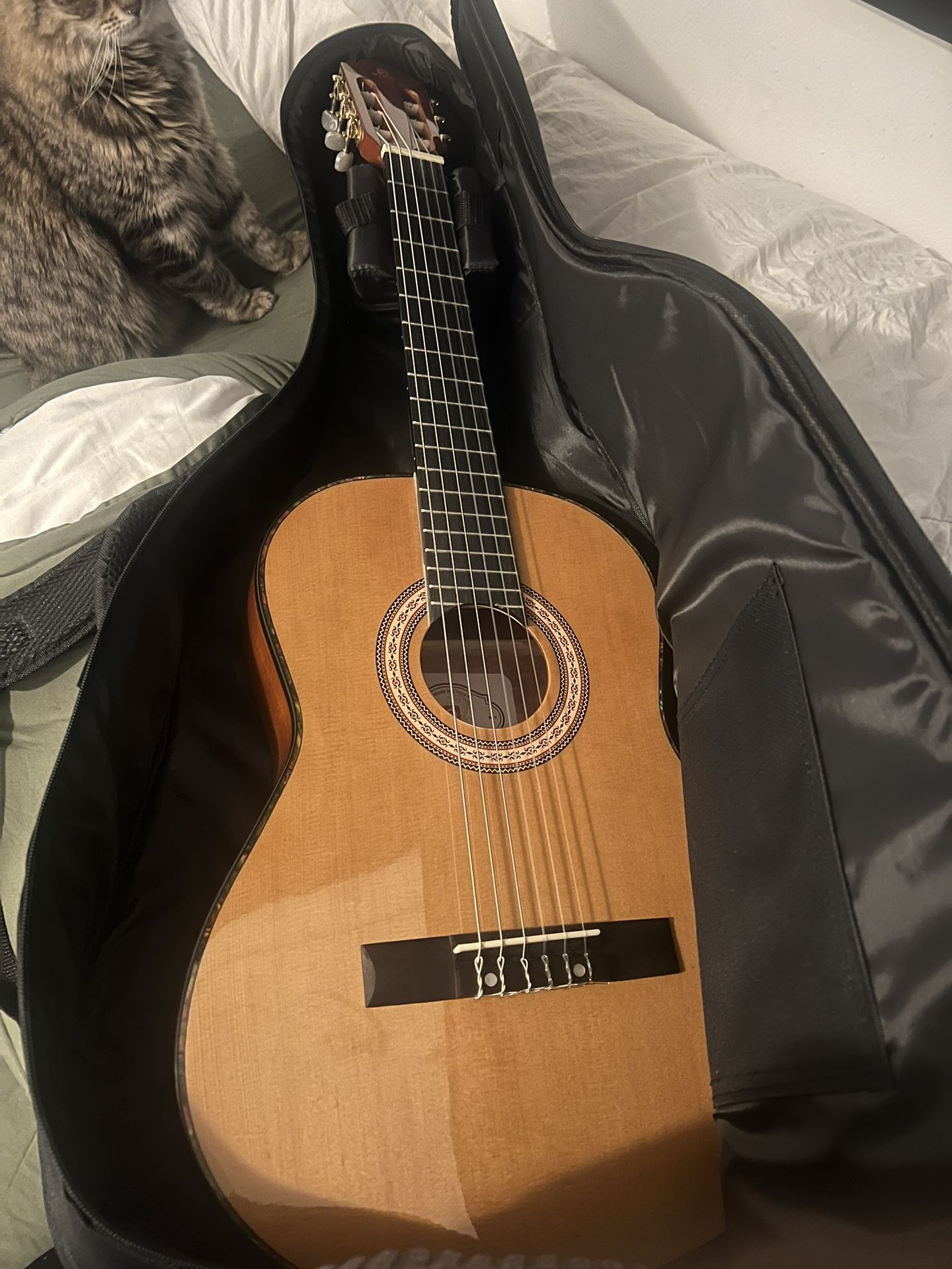 Acoustic Guitar