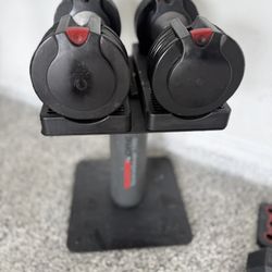 Dumbbells AJUSTABLE 10 - 55lb  WEIDERcore  and stand $230  ☎️689 ——322—-3634   Kissimmee 34748 📍