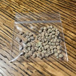 Prickly Pear Seeds
