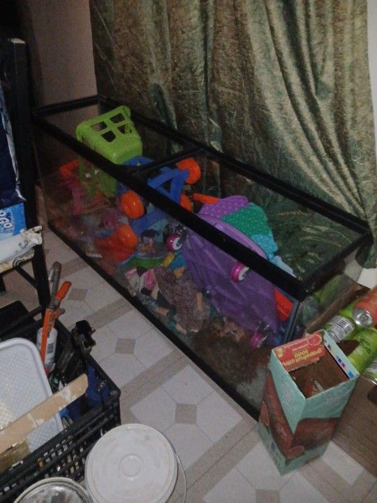 55 Gal. 