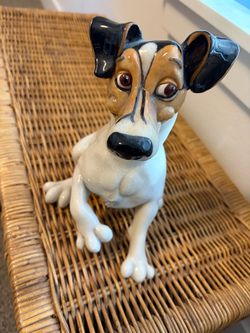 Pets with personality Jack Russell