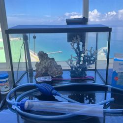 TOPFIN: 10 Gallon Fish Aquarium With Filter, Heater, Pump, Decorations, 2 small Nets