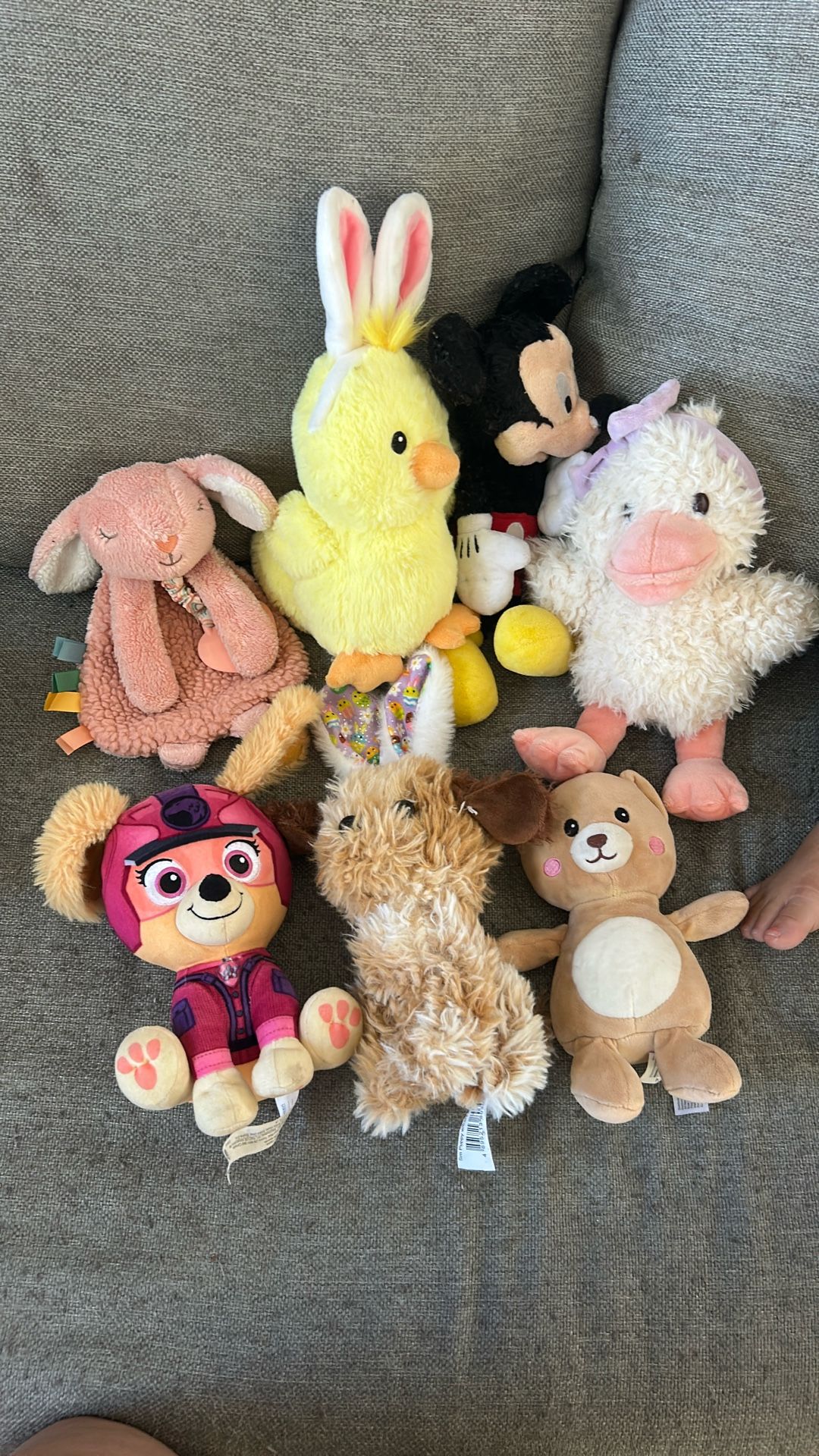 Stuffed Animals