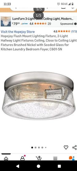 Hopejoy Flush Mount Lighting Fixture, model C601-SN.
