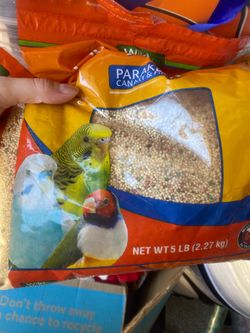 Bird food