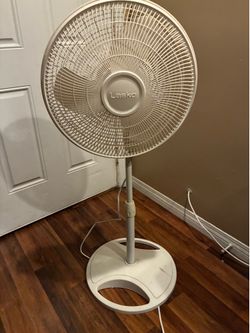 Fan