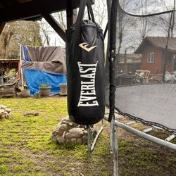 Everlast Punching Bag with Stand