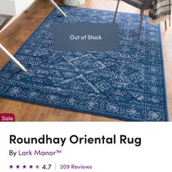 BRAND NEW Blue Oriental Rug - $125 (originally $240) 