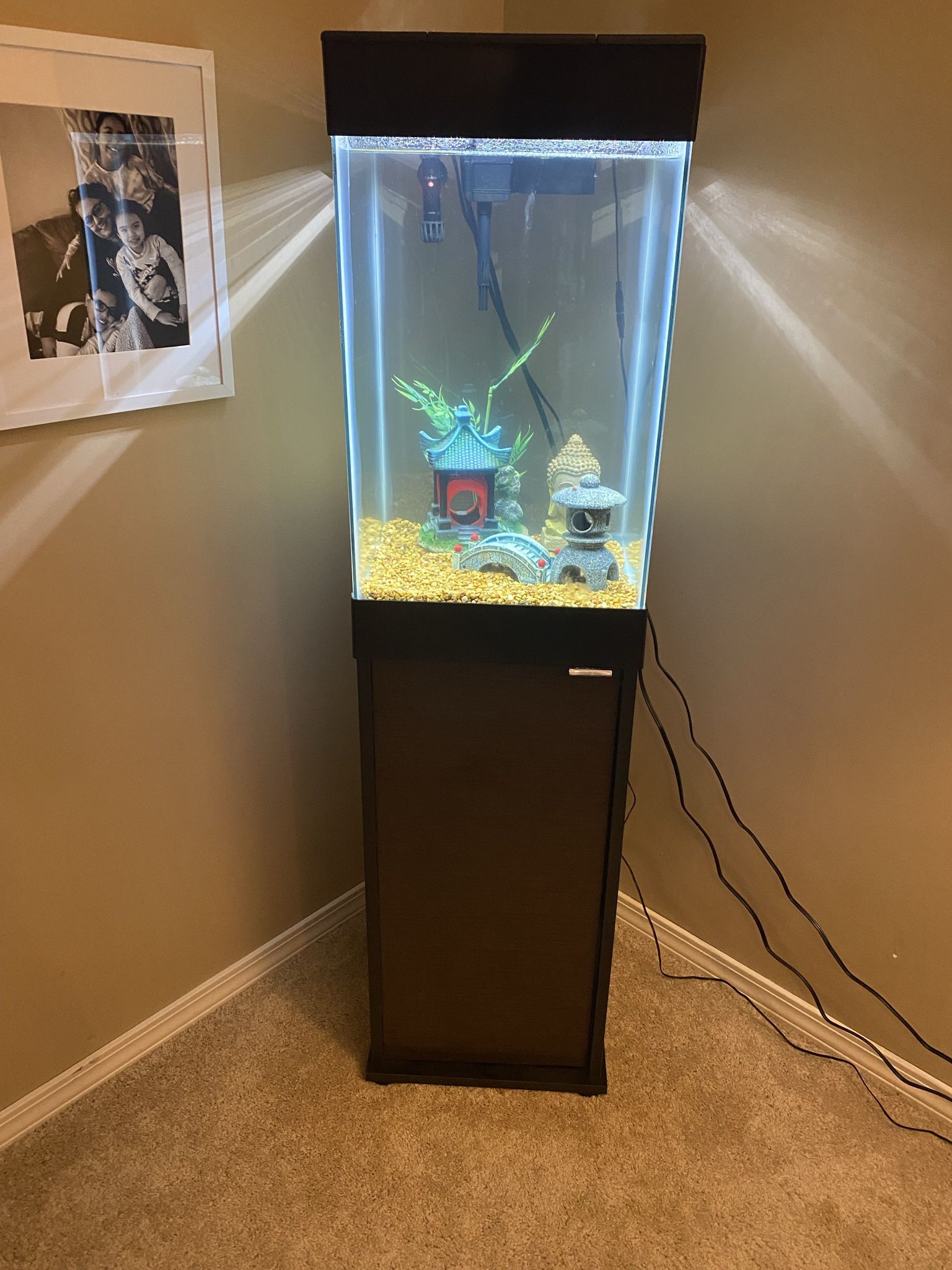 15 Gallon Fish Tank 