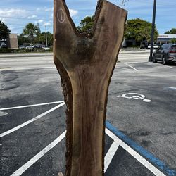 Wood Live Edge Slab
