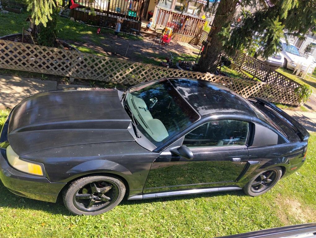 1999 Ford Mustang