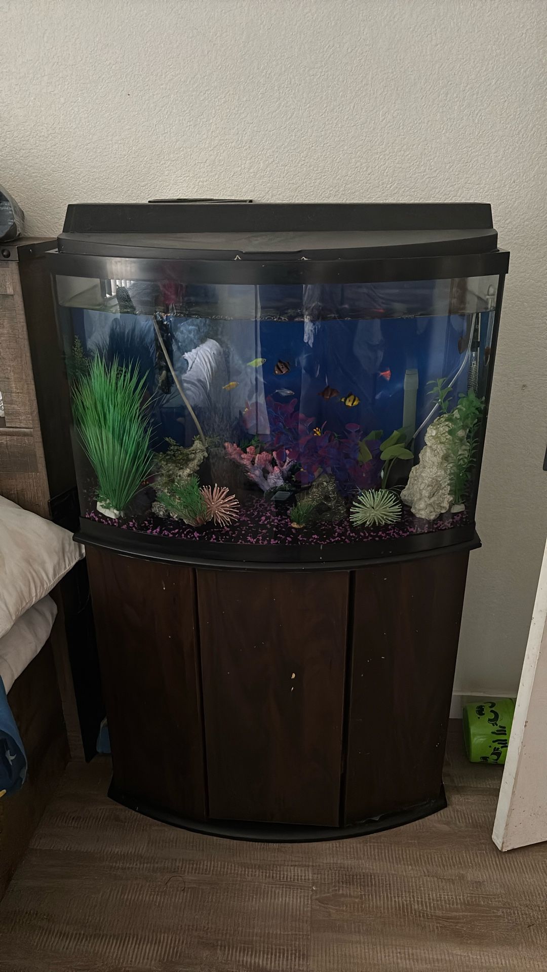 Fish Tank