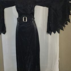 Halloween Costume