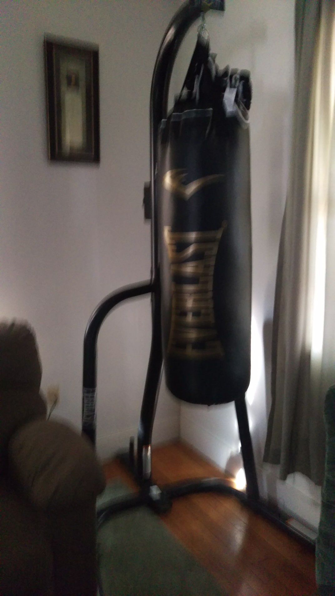 Everlast punching bag and gloves newly bought two weeks ago for 250 and gloves 30. Selling both for 100