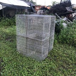 Bird Cages