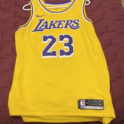 Nike Lebron James Lakers Jersey 