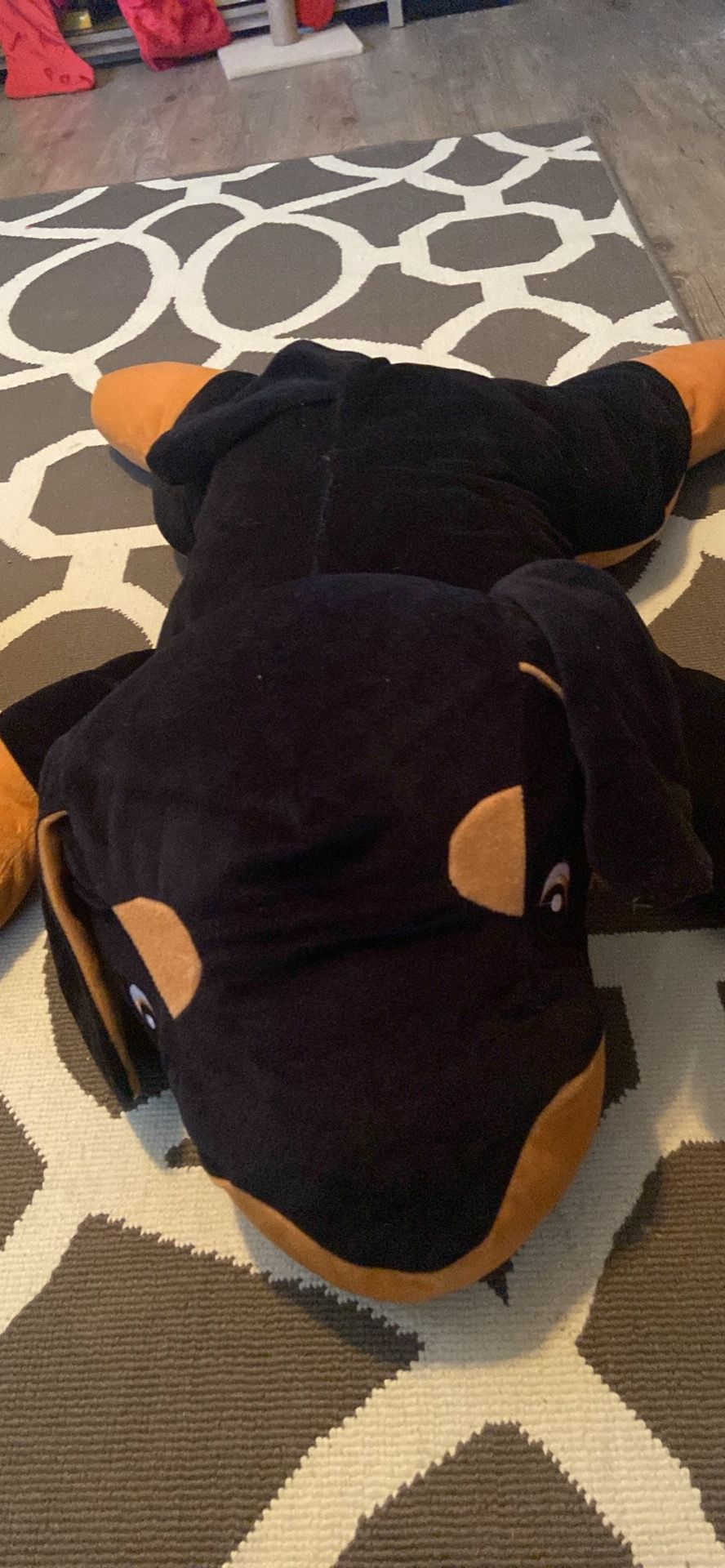 Stuffed Animals