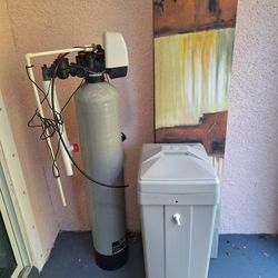 Whole House Water Filtration and Salt Softening System