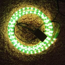 Green Rope Light 20 Ft 