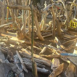 The art Of Driftwood 