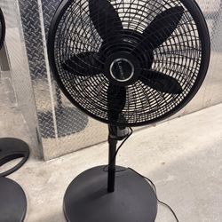 3 Fans $10 Each