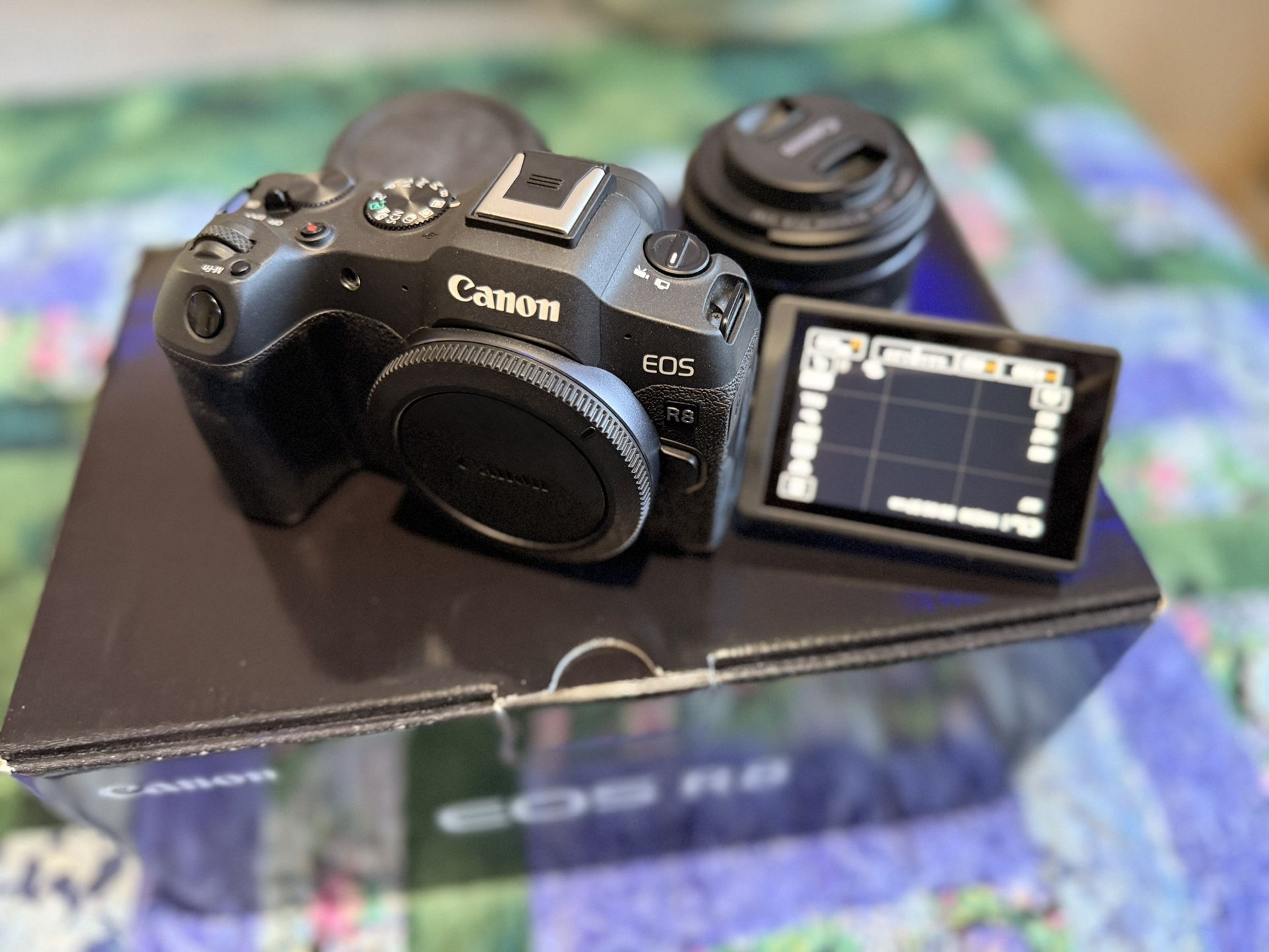 Canon EOS R8  w/RF 50 F1.8