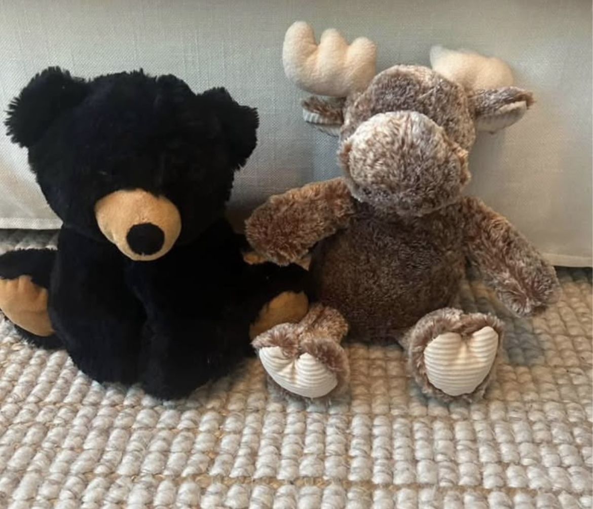 Kids Animals