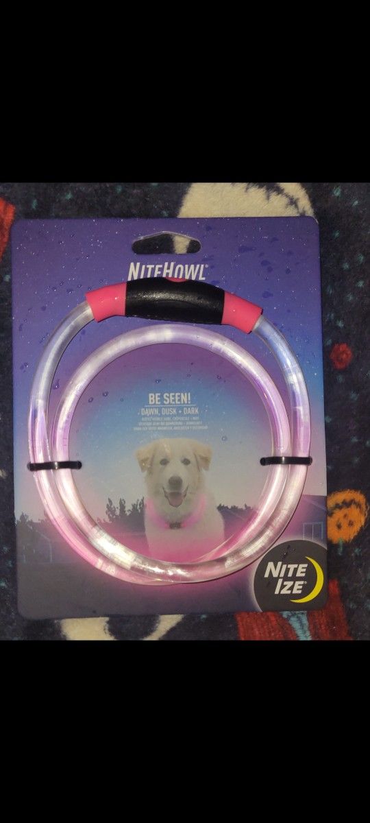 Dog Light Up Collar