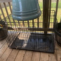 Medium Dog Crate 