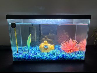 Small fish tank