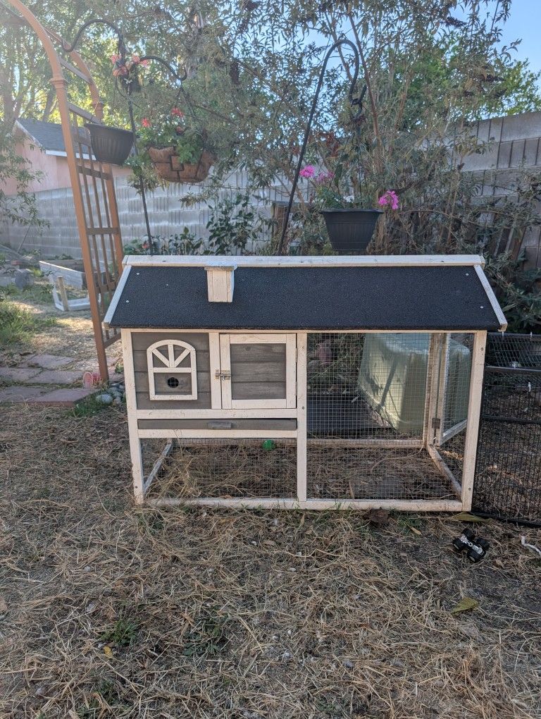 Rabbit Or Chicken House