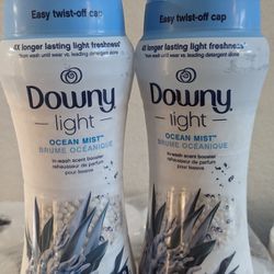 Downy In Wash Scent Booster 