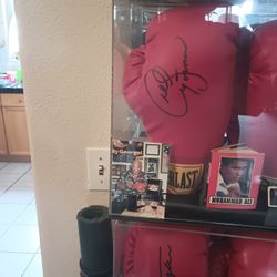 George Foreman Boxing Glove With Certificate Of Authentication 700