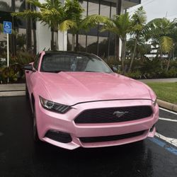 Mustang