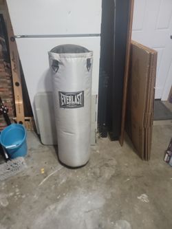 Everlast Punching Bag