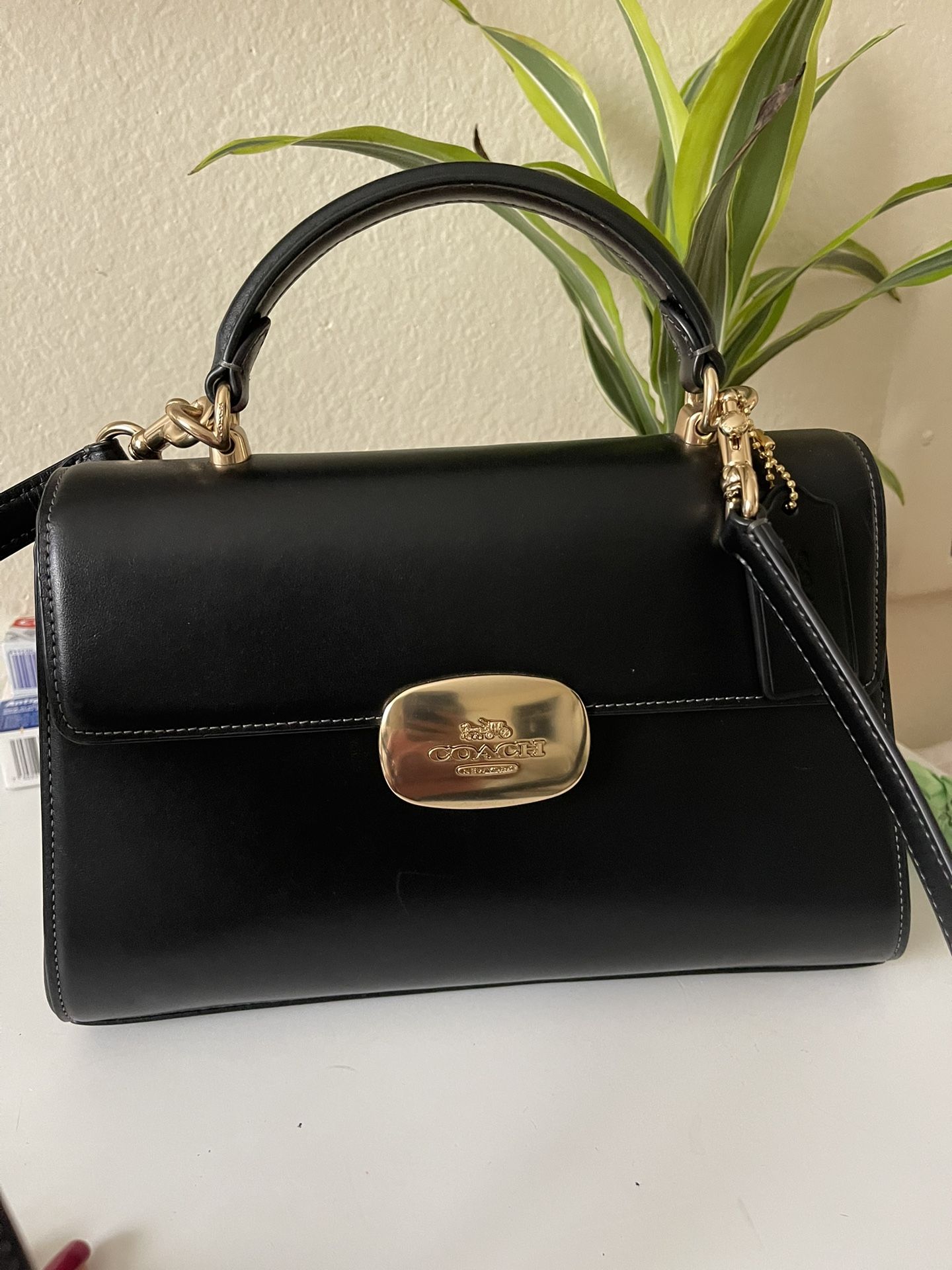 Purse /coach