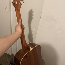 Acoustic Guitar - Mitchell