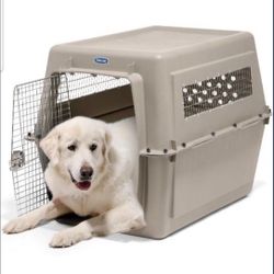 Dog Kennel