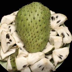 Soursop Graviola Guanabana Annona Muricata 1 Gallon Seedling Plant Tree Fully Grown