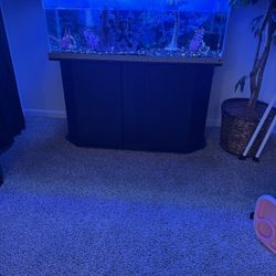 55 Gallon Fish tank With Fish