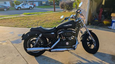 2016 Harley Sportster 1200C