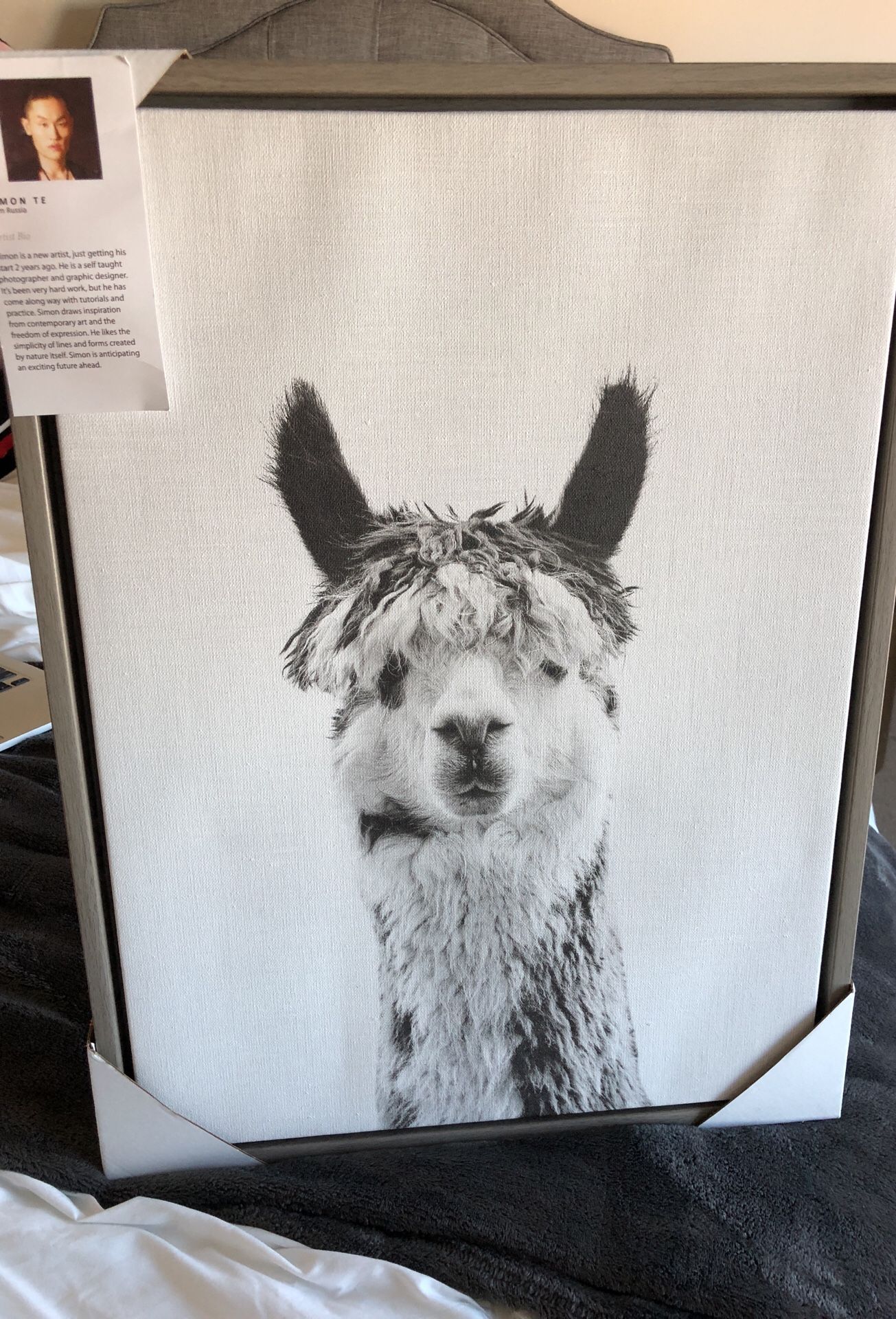 Alpaca Painting by Simon Te 18x24